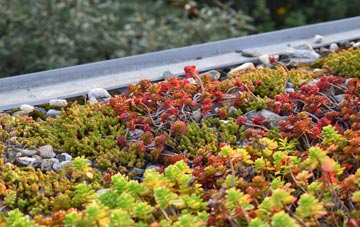 the cost of Broadbridge Heath green roof installation