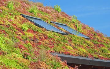 Broadbridge Heath living roof systems