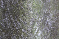 Broadbridge Heath fibreglass roof work